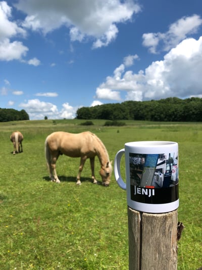 tasse-Jenji-devant-un-champ