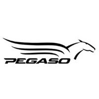 Pegaso